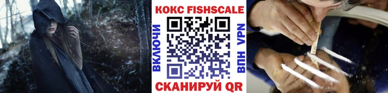 COCAIN Fish Scale  mega зеркало  Берёзовский 