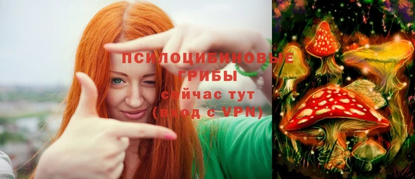 гидропоника Алексеевка