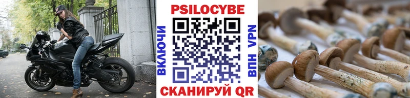 Псилоцибиновые грибы мицелий нарко площадка клад Берёзовский